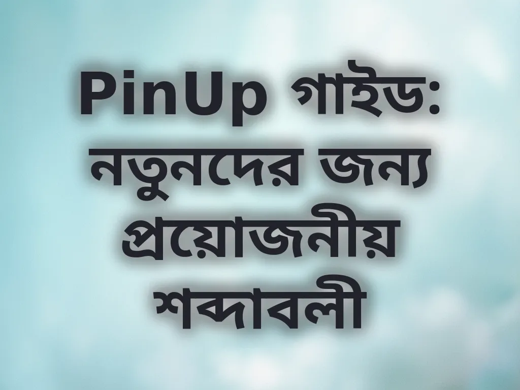 PinUp টার্মস গাইড